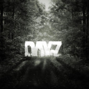 Kolumne: DayZ – The Survivor