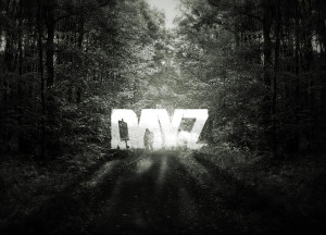 Kolumne: DayZ – The Survivor